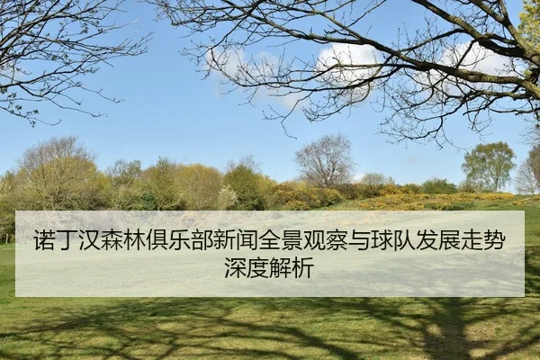 nuo-ding-han-sen-lin-ju-le-bu-xin-wen-quan-jing-guan-cha-yu-qiu-dui-fa-zhan-zou-shi-shen-du-jie-xi-2-814.jpg