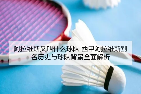 阿拉维斯又叫什么球队 西甲阿拉维斯别名历史与球队背景全面解析